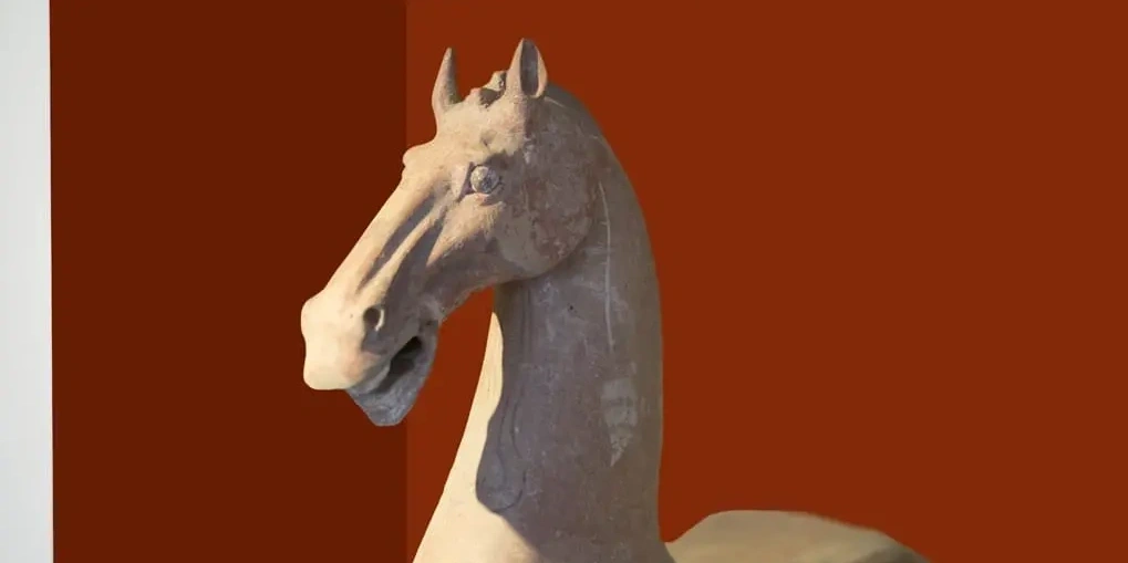 3D object uitlichten